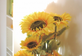 宅家一个月的生活和工作